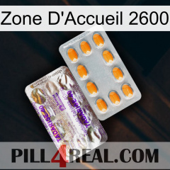 Home Zone 2600 new12